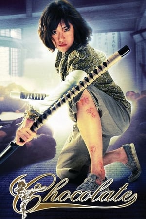 Chocolate (2008) Hindi Dual Audio [830MB]