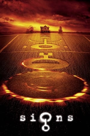 Signs 2002 Hindi Dual Audio [800MB]